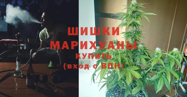 метадон Ладушкин