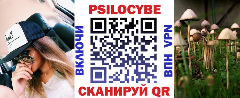 купить наркотик  blacksprut ссылки  Галлюциногенные грибы мухоморы  Гвардейск 